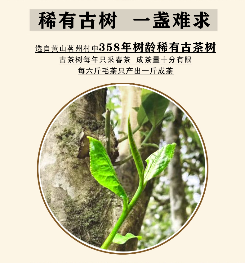 黄精红茶j3