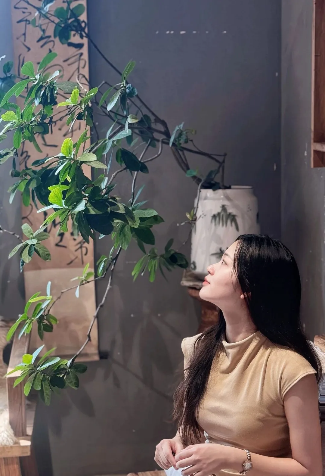 七条奇奇怪怪的茶知识，其中第六条很多老茶人都不知道。